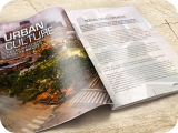 Catalogs