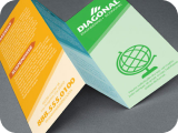 Flyers and Brochures